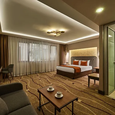 ホテル Grand Gulsoy Old 4*